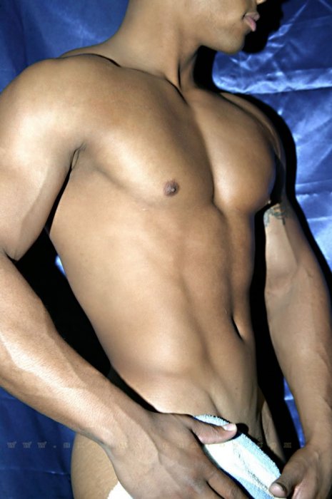 Adonis Rivers - Maxegatos - Foto 27