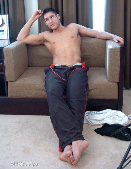 Troy - Maxegatos - Foto 11