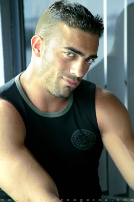 Malboro Tavini - Maxegatos - Foto 10