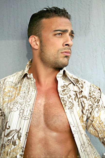 Malboro Tavini - Maxegatos - Foto 2