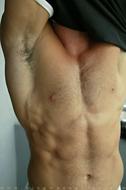 Malboro Tavini - Maxegatos - Foto 20