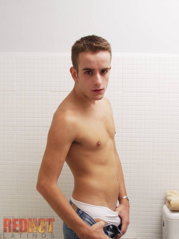 Simone de Jesus - Maxegatos - Foto 3