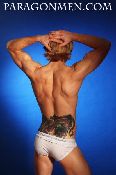 Trystan Shandy - Maxegatos - Foto 10