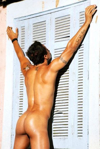 Vicente Ros - Maxegatos - Foto 44