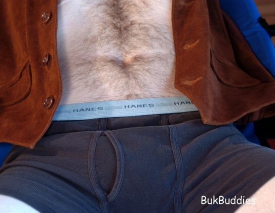 Preston - Maxegatos - Foto 10