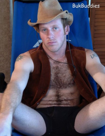 Preston - Maxegatos - Foto 12