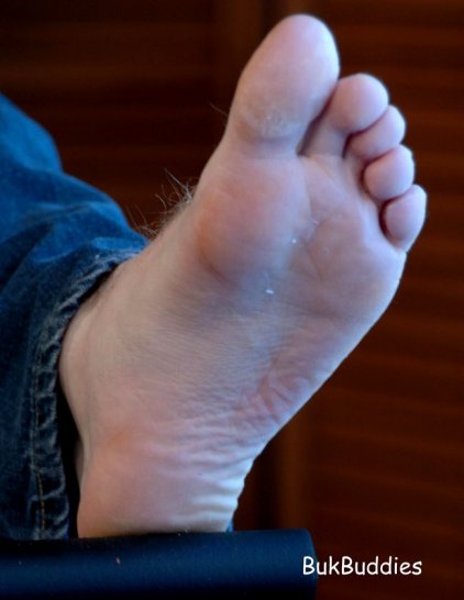 Preston - Maxegatos - Foto 8