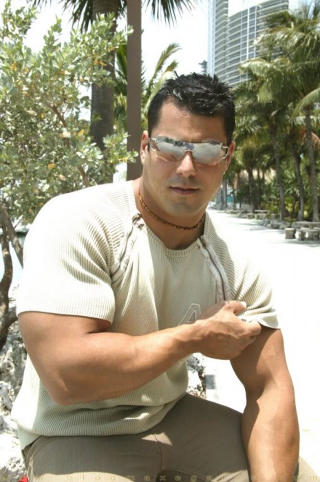 Alex Torquetti - Maxegatos - Foto 1