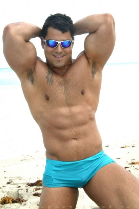 Alex Torquetti - Maxegatos - Foto 10