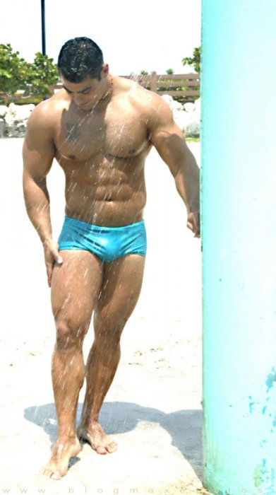 Alex Torquetti - Maxegatos - Foto 11