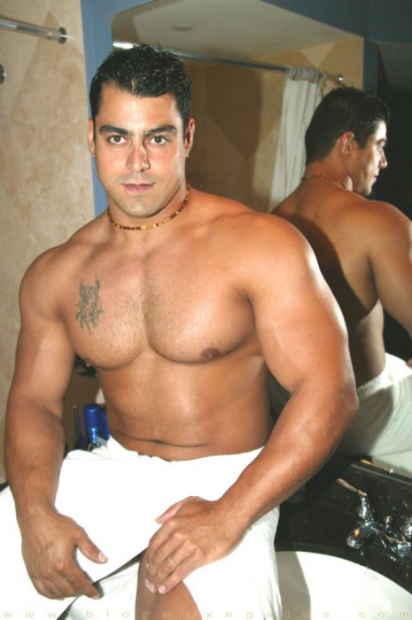 Alex Torquetti - Maxegatos - Foto 13