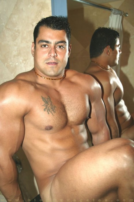 Alex Torquetti - Maxegatos - Foto 14