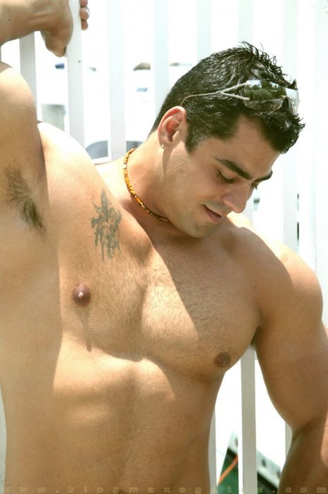 Alex Torquetti - Maxegatos - Foto 2