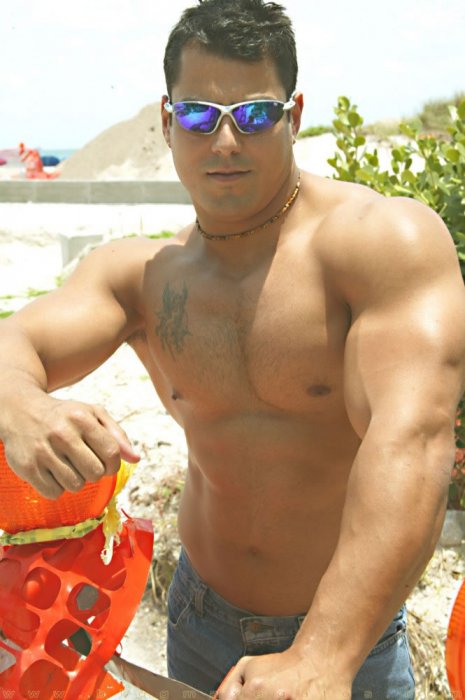 Alex Torquetti - Maxegatos - Foto 4