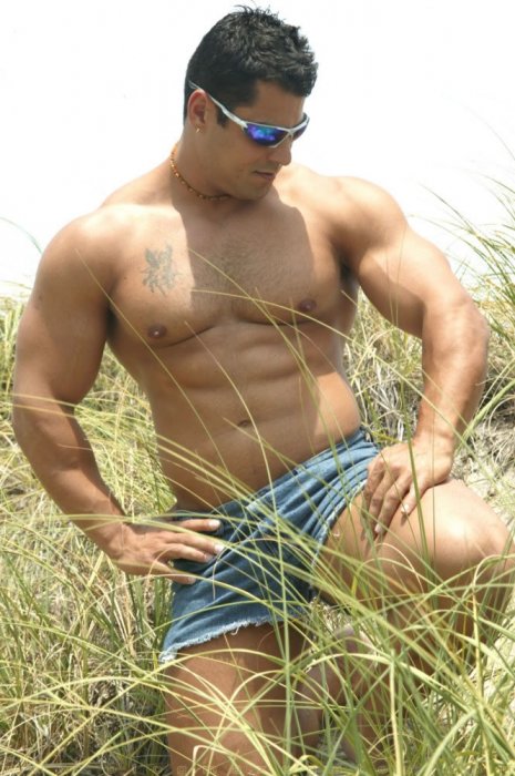 Alex Torquetti - Maxegatos - Foto 5