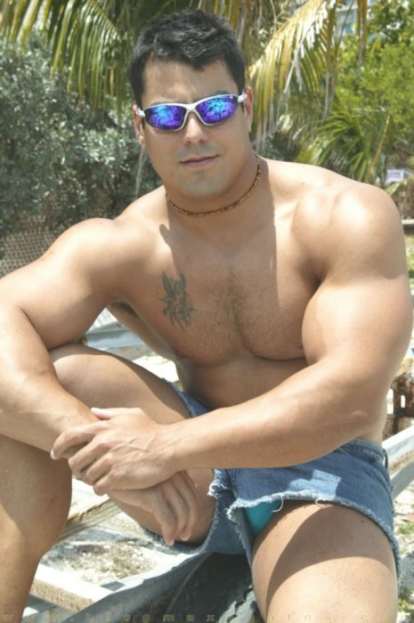 Alex Torquetti - Maxegatos - Foto 7