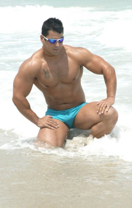 Alex Torquetti - Maxegatos - Foto 9