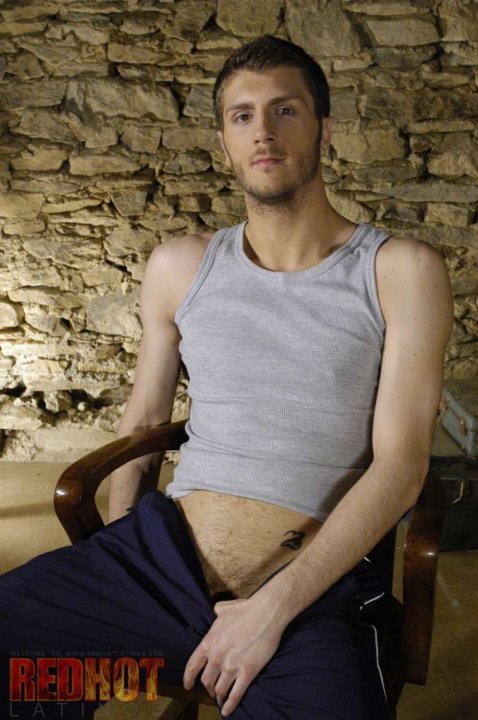 Aiden Bonini - Maxegatos - Foto 14