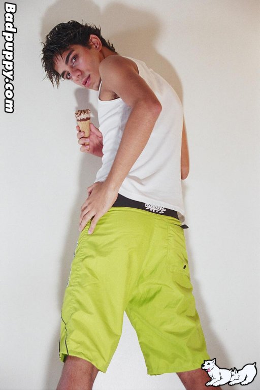 Will - Maxegatos - Foto 11