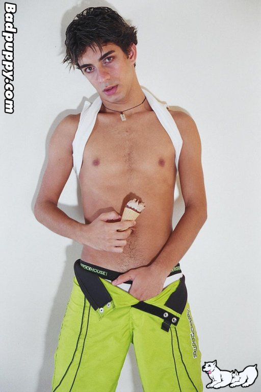 Will - Maxegatos - Foto 14