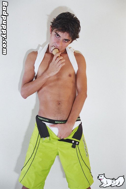 Will - Maxegatos - Foto 15