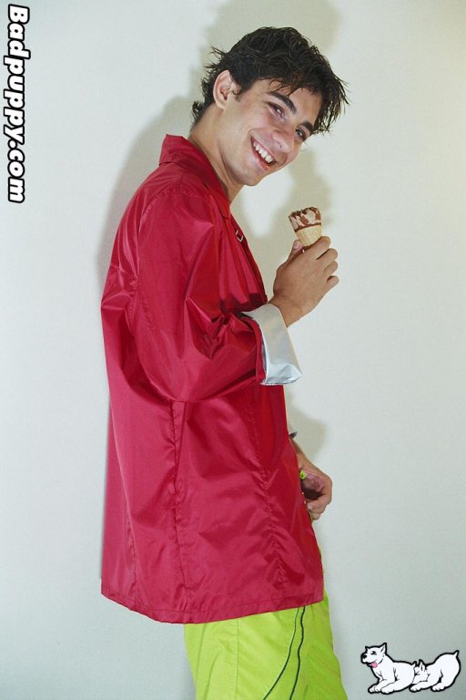 Will - Maxegatos - Foto 6