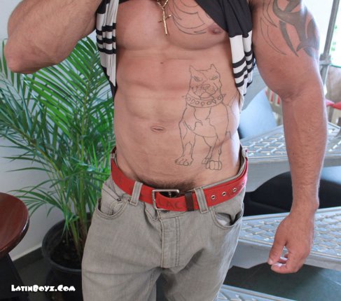 Joey - Maxegatos - Foto 10