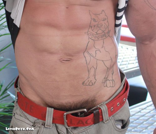 Joey - Maxegatos - Foto 11