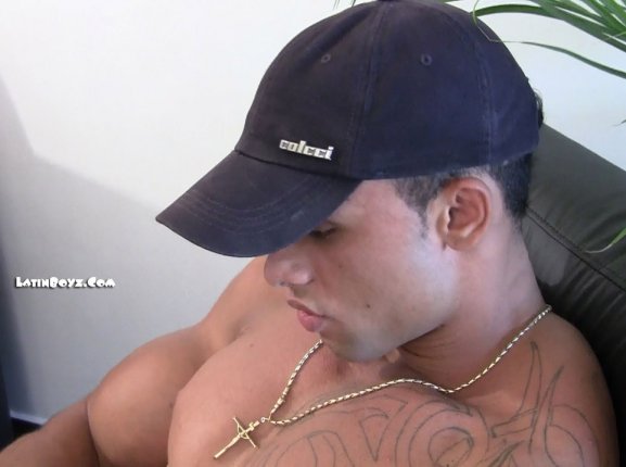 Joey - Maxegatos - Foto 35