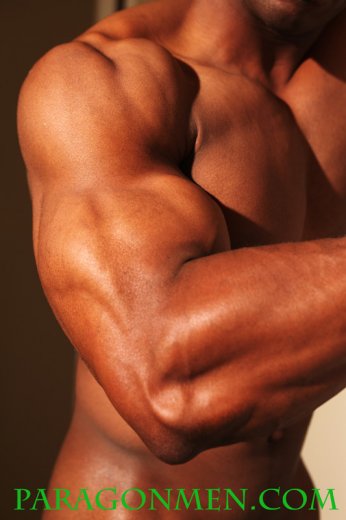 Negro Dotado - Foto 17