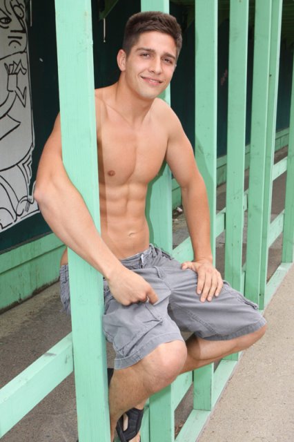 Mix de Gatos  - Foto 25