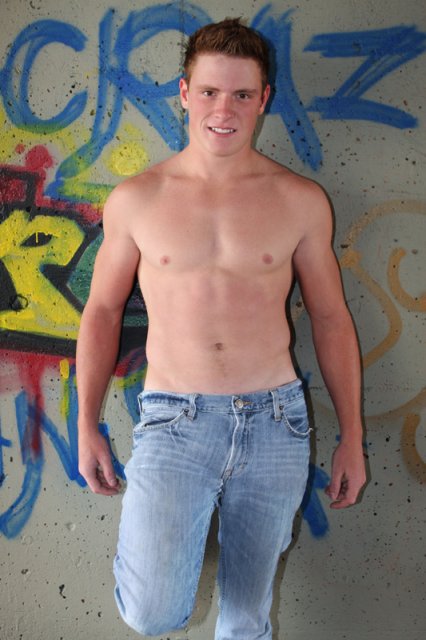 Mix de Gatos  - Foto 53