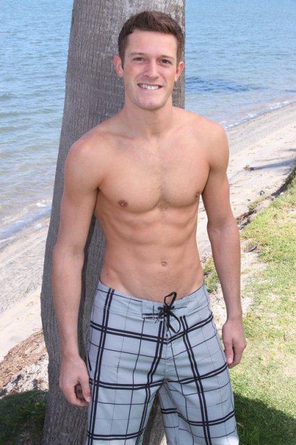 Mix de Gatos  - Foto 92