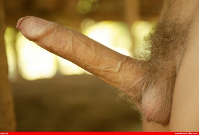 Trevor Yates - Foto 36