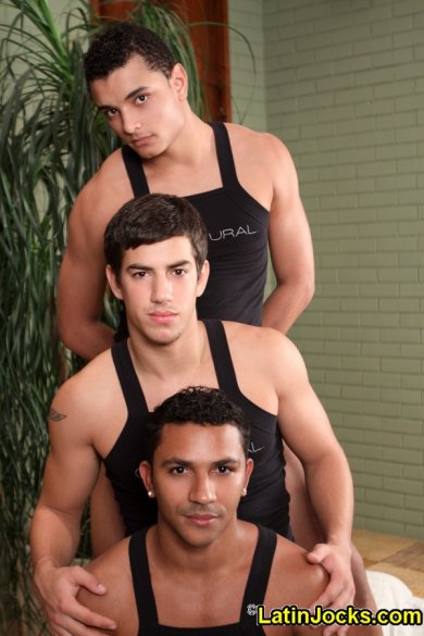 Marcelo, Arno e Rodrigo - Foto 4