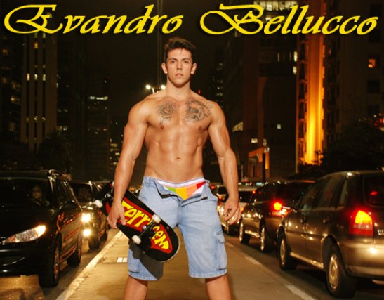 Evandro Bellucco - Foto 2