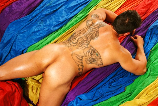 Evandro Bellucco - Foto 8