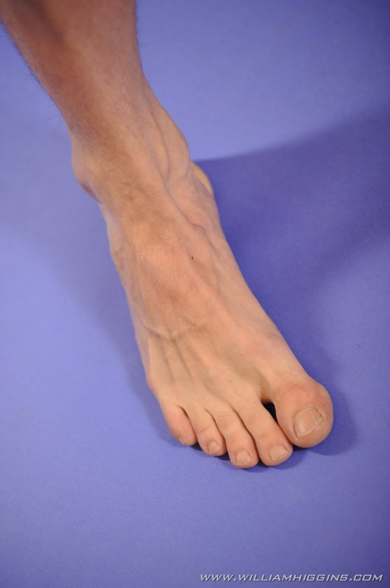 Alois Holba - Foto 74