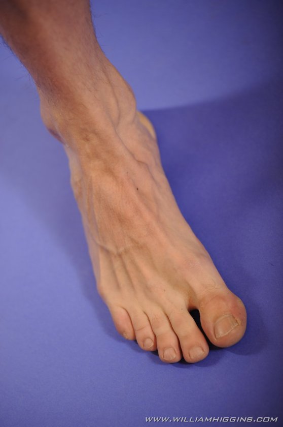 Alois Holba - Foto 75