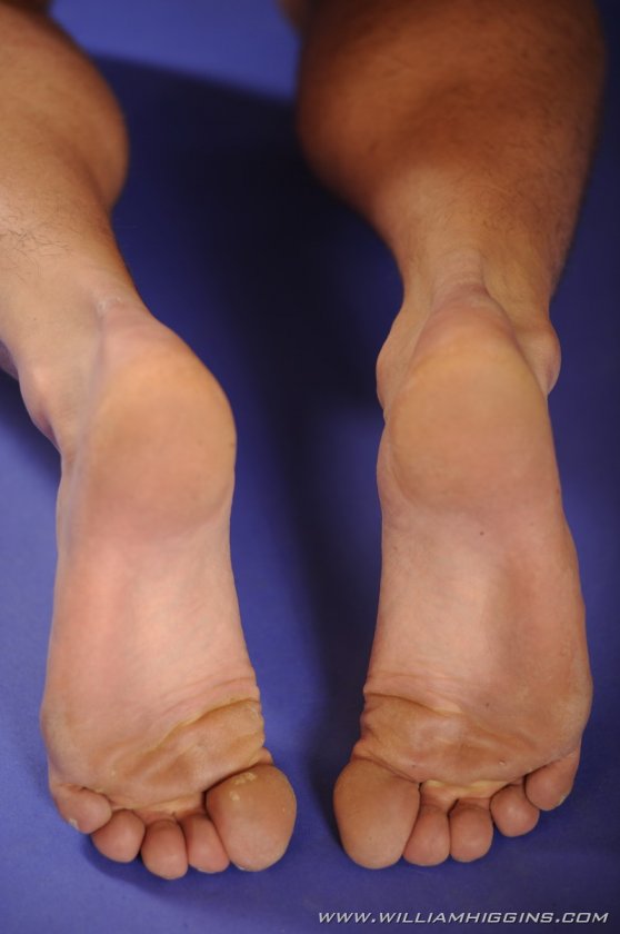 Alois Holba - Foto 87