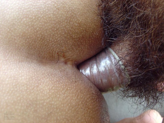 Xachi & Tali - latinosbrazil.blogspot.com - Foto 146