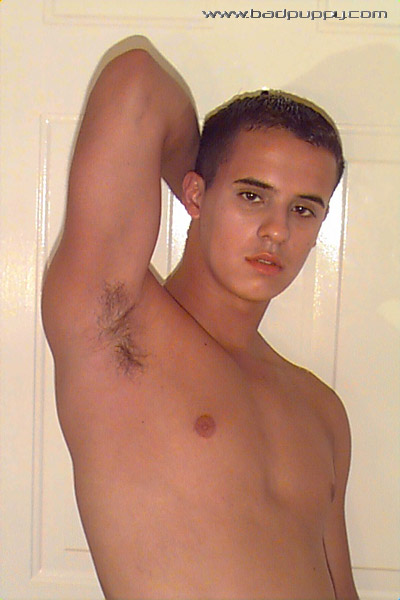 Antonio Madeira -  latinosbrazil.blogspot.com - Foto 25