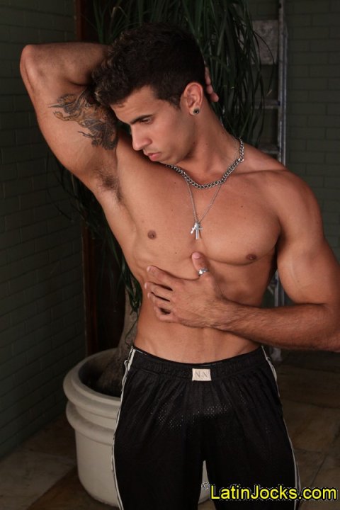 Bernardo -  latinosbrazil.blogspot.com - Foto 15