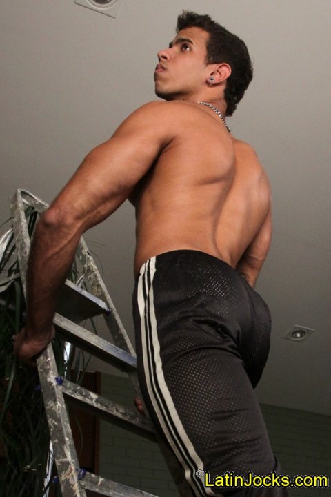 Bernardo -  latinosbrazil.blogspot.com - Foto 24