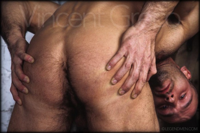 Vincent Greco MaxeGatos - Foto 23