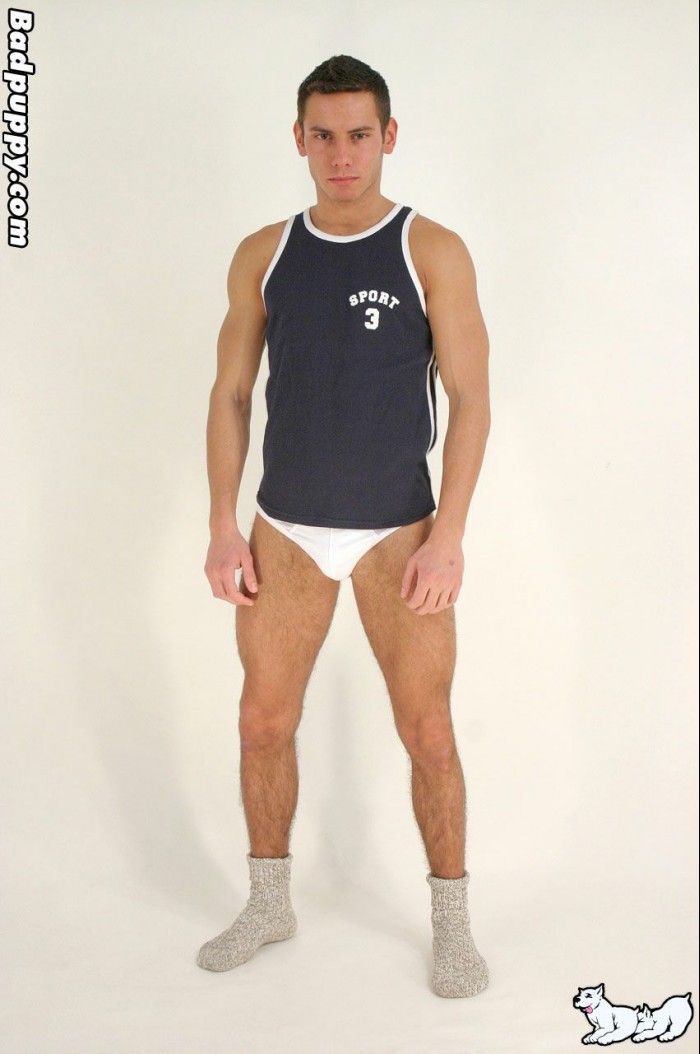 Pavel Kovarik - MaxeGatos - Foto 1