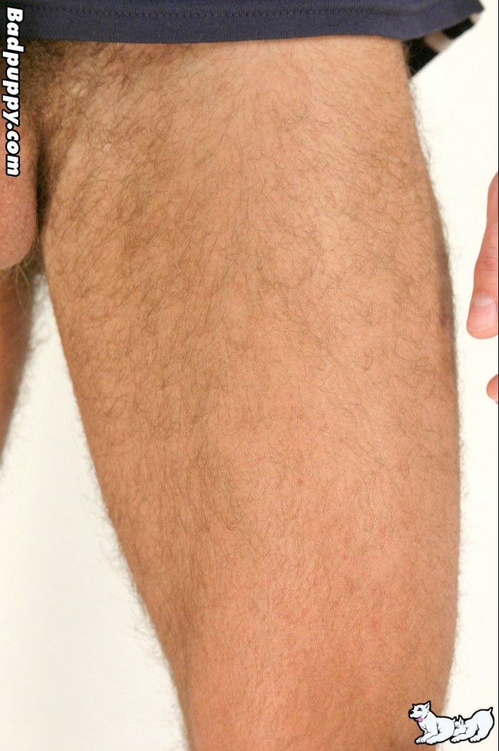 Pavel Kovarik - MaxeGatos - Foto 111