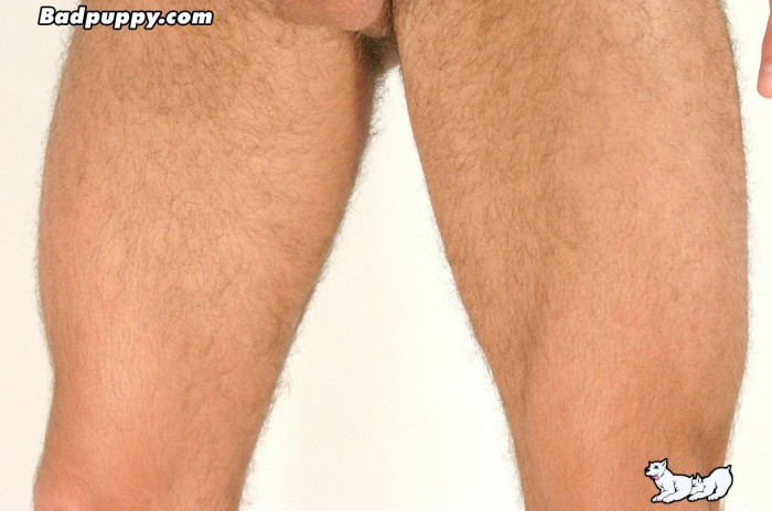 Pavel Kovarik - MaxeGatos - Foto 115