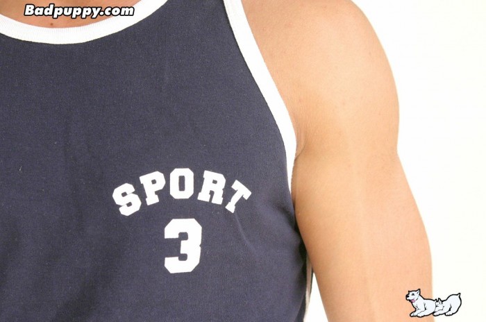 Pavel Kovarik - MaxeGatos - Foto 116