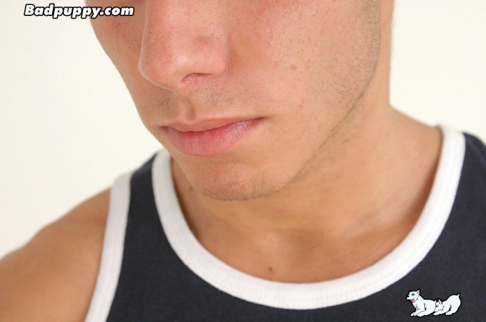 Pavel Kovarik - MaxeGatos - Foto 117